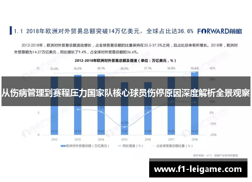 从伤病管理到赛程压力国家队核心球员伤停原因深度解析全景观察